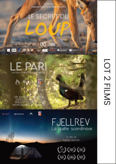 Lot 2 Films