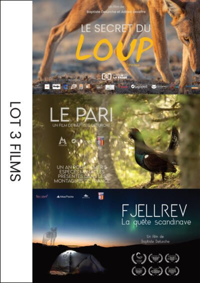 Lot 3 Films