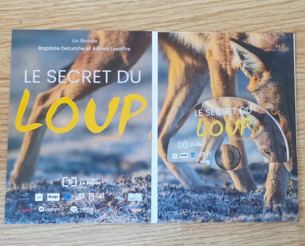 Le Secret du Loup d'Éthiopie – Image 4