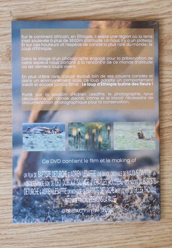 Le Secret du Loup d'Éthiopie – Image 3