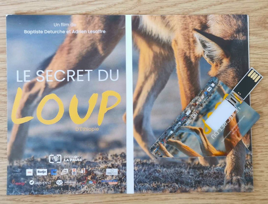Le Secret du Loup d'Éthiopie – Image 2
